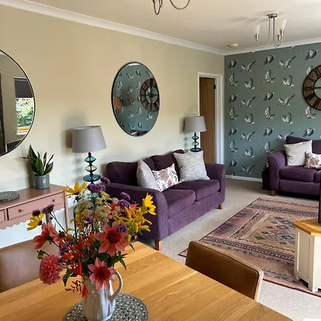 The Dinney B&B-3